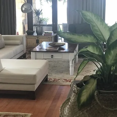 Serene *